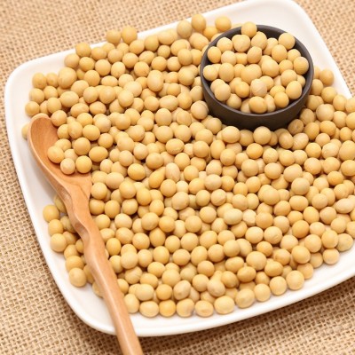 Soya Fasulyesi